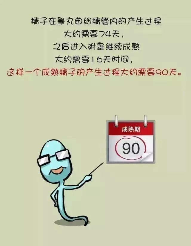 男性不孕不育中医治疗配方,男性治疗不孕不育要用什么药