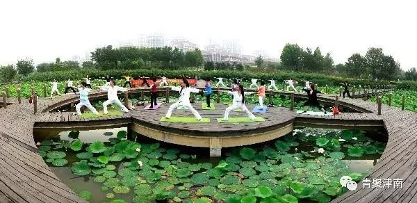 是什么让越来越多的年轻人爱上津南,留在津南!