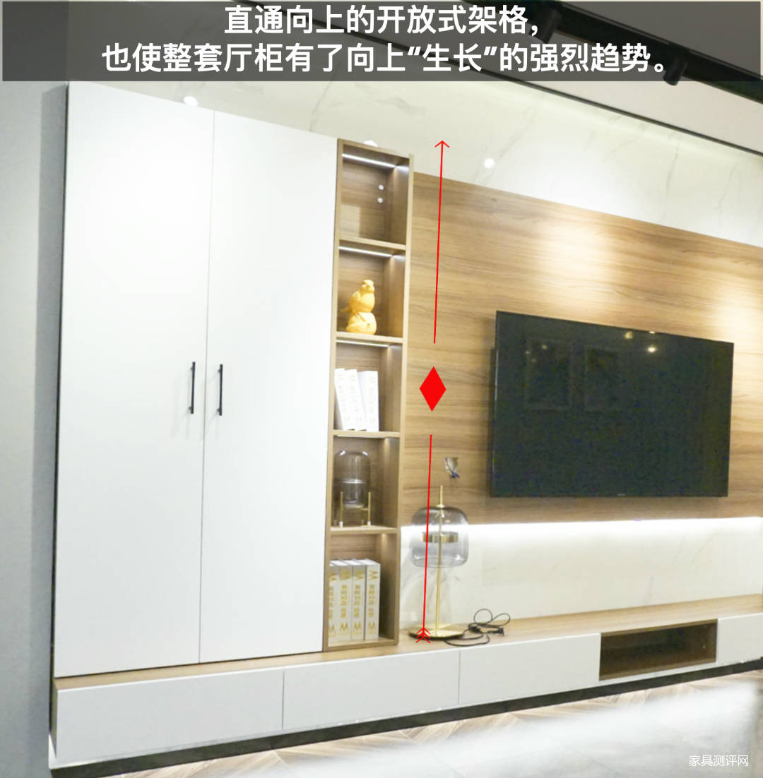 莱茵艾格定制家具测评：自带美术馆效果，让你家大到能“望远”