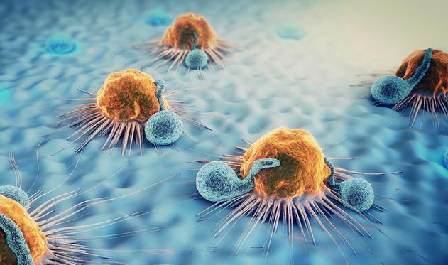 扶正培本,扶正培本指的是什么