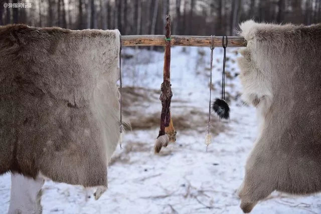 呼伦贝尔的民族风光和习俗,呼伦贝尔巴尔虎民俗文化