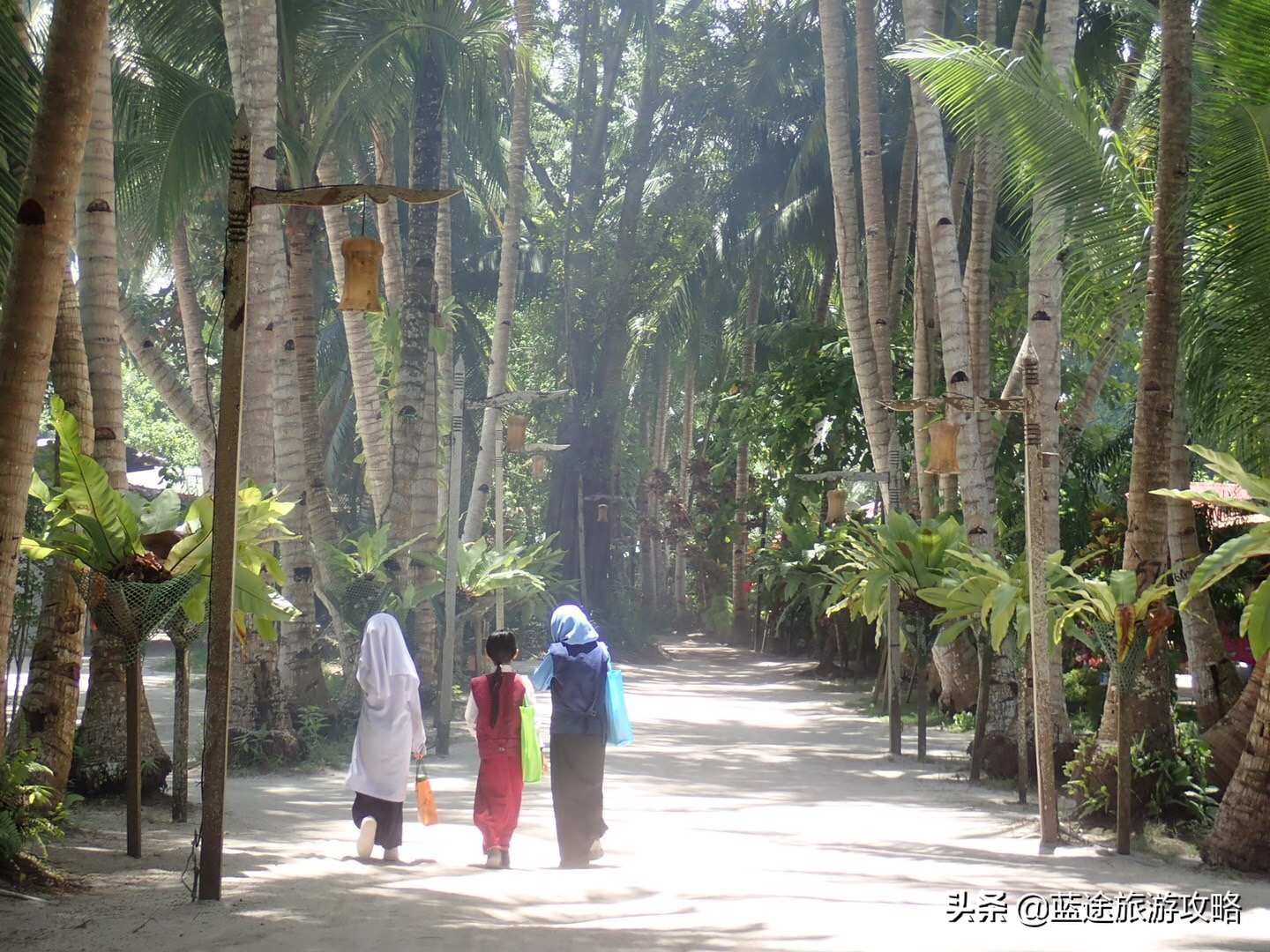 沙巴旅游跟团攻略 (去沙巴必懂的几大攻略)