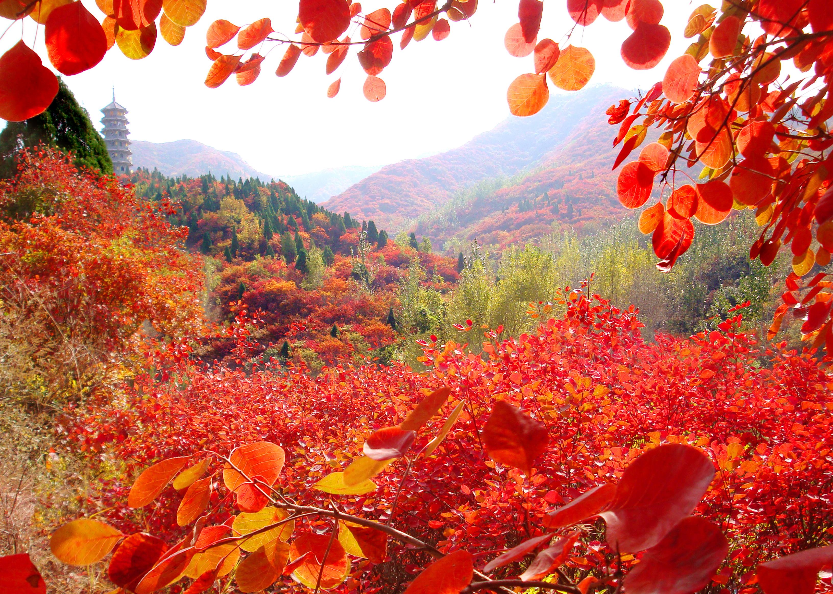 济南攻略2日游住宿,济南攻略二日游亲子