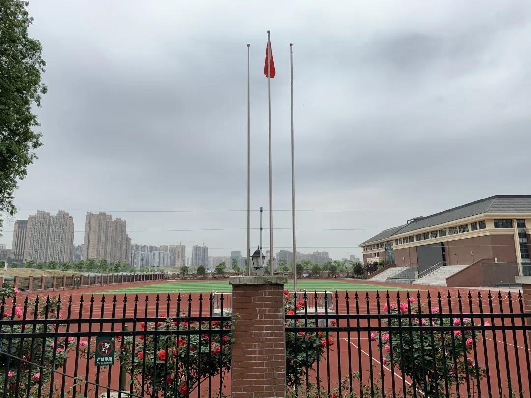 成都高新南区大源西土地拍卖,成都高新区大源天府五街土地拍卖