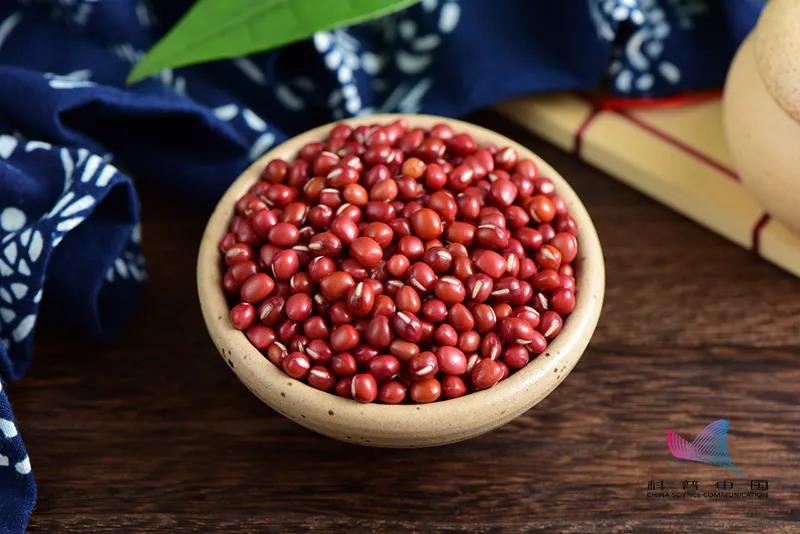 看起来很好看但是有剧毒的植物,好看但是有剧毒的植物