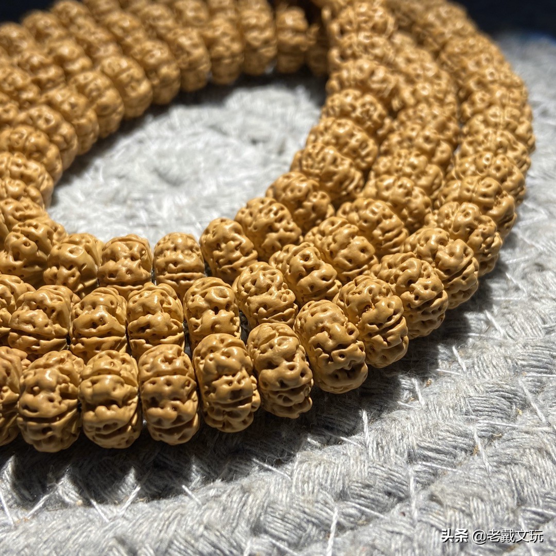 文玩手串金刚菩提心得,小金刚菩提子基础知识