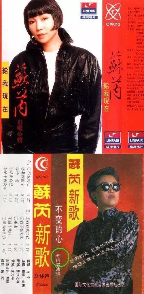 屹立三十年不倒的那英就是一东北大妞哪来的什么舞台风格