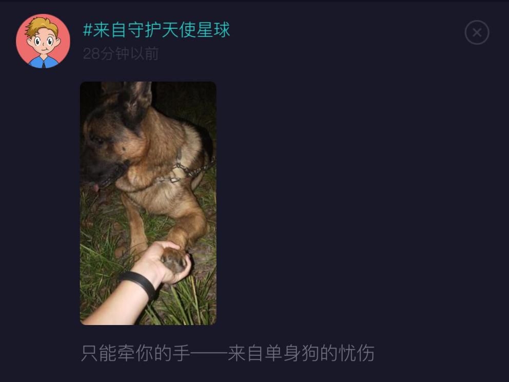 扒一下女明星整容史,扒一扒娱乐圈女星奇葩健身