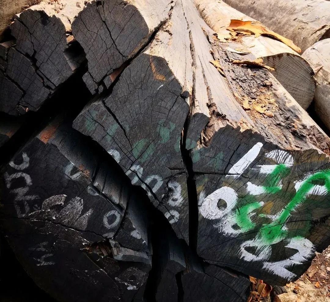 木皮染色材料视频,常见天然木皮