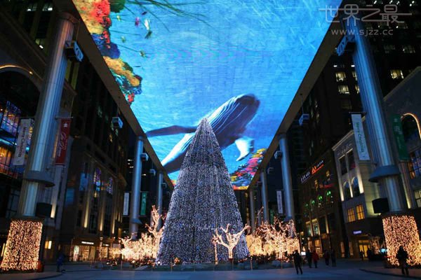 贵阳求婚最佳地点,最佳十种浪漫求婚方式