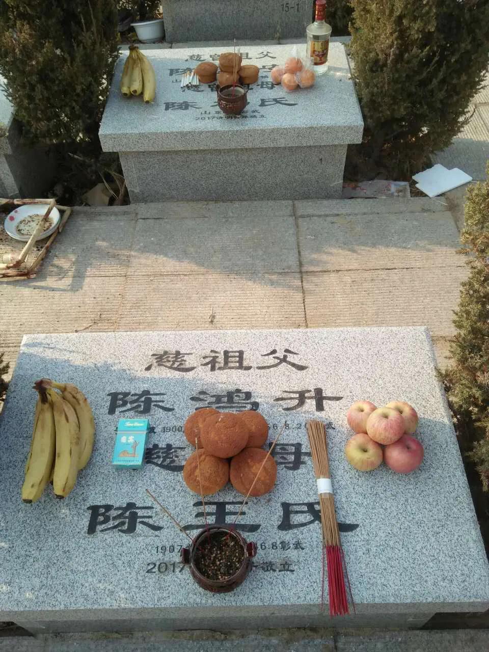 满族正蓝旗陈氏家谱,北镇满族正蓝旗陈氏族谱