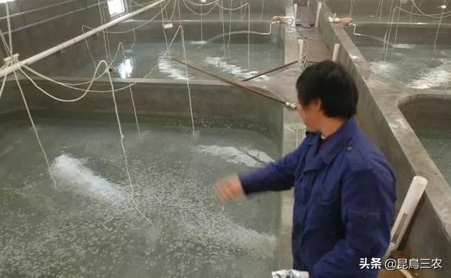 水塘消毒怎么做,水塘消毒剂