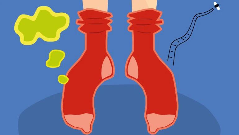 穿丝袜防脚臭小技巧,穿丝袜脚真的会变臭吗