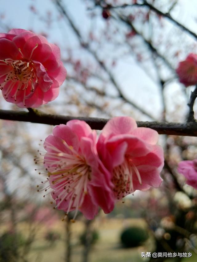 雅马哈巧格300公里首保,雅马哈巧格3万公里后综合油耗