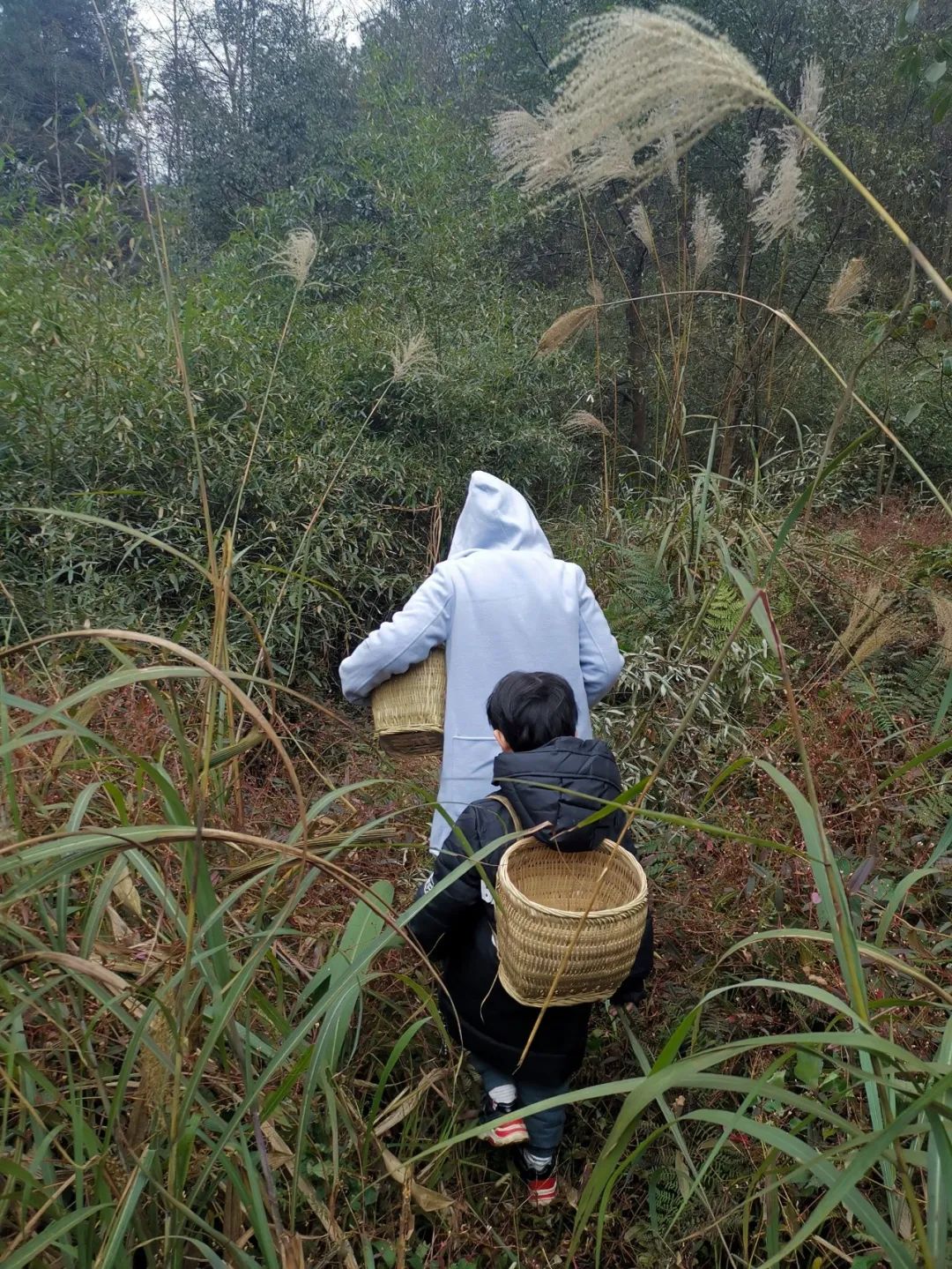 疫情结束房子会降价吗,疫情结束后又发生了什么事