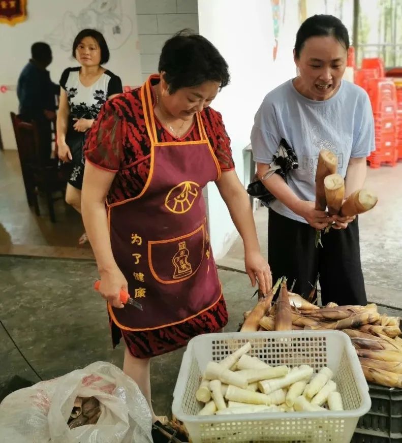 四月天山上春笋鲜,人间四月天春笋鲜