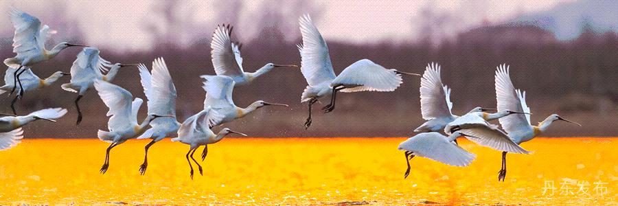 五一3-5天短途丹东旅游推荐,五一丹东必打卡自然景观推荐