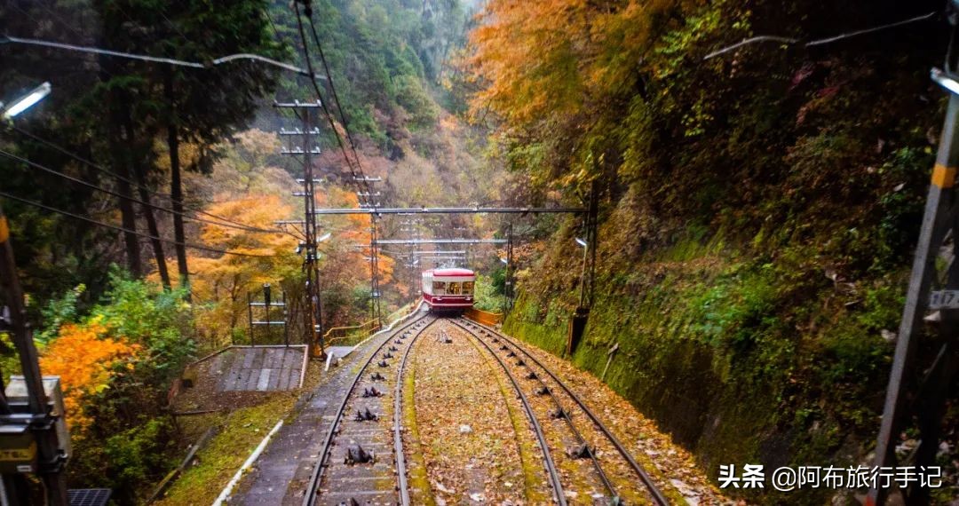 日本熊野古道拍摄,摄影师镜头下的景区