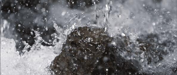 这家水饺店出了一瓶万年稀罕的天然自涌泉,到店免费喝,牛掰啊