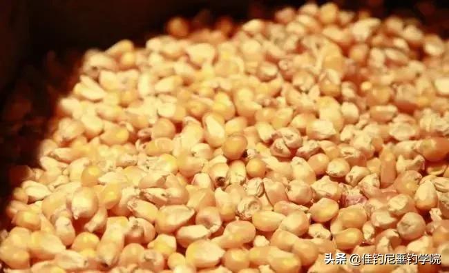 黄酒泡制玉米粒钓饵,玉米粒钓饵的泡制方法