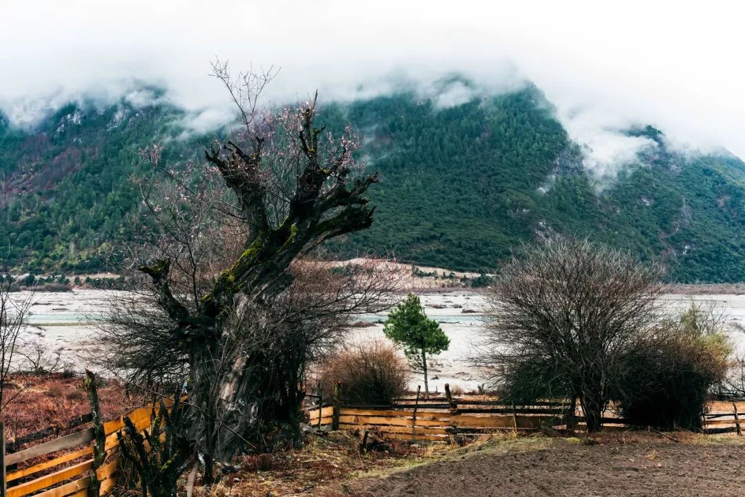 有一种风情叫江南烟雨,波密塞外江南
