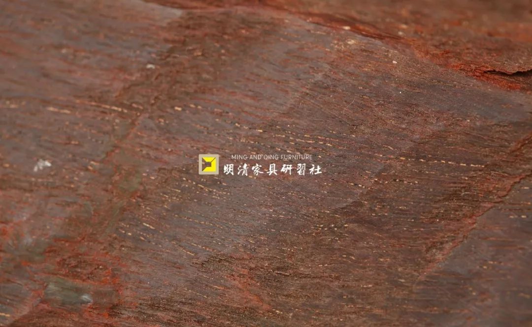 紫檀的真实身份,紫檀最后的样子