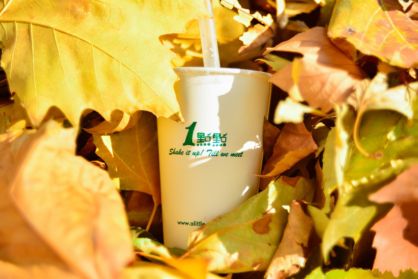 一点点奶茶可以单店加盟吗,一点点奶茶加盟费明细表格