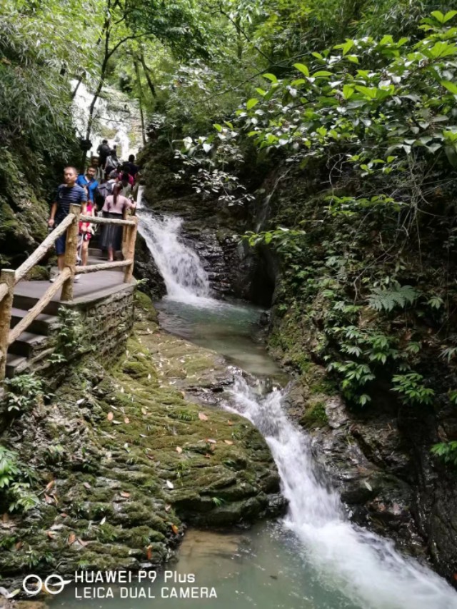 重庆黑山谷避暑适合吗,重庆避暑7天黑山谷