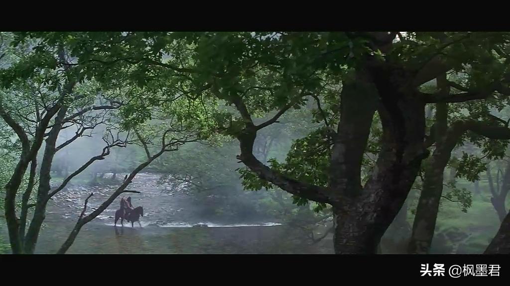 为什么选择勇敢的心这部电影,电影勇敢的心还有什么值得看