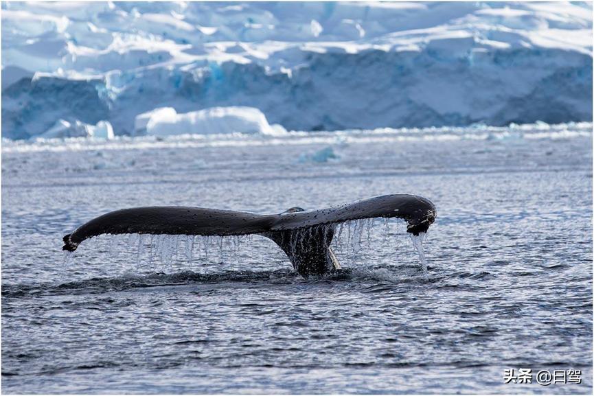 降价后的VOLVOS90你才发现它的好吗?这是款豪华“养生”轿车…