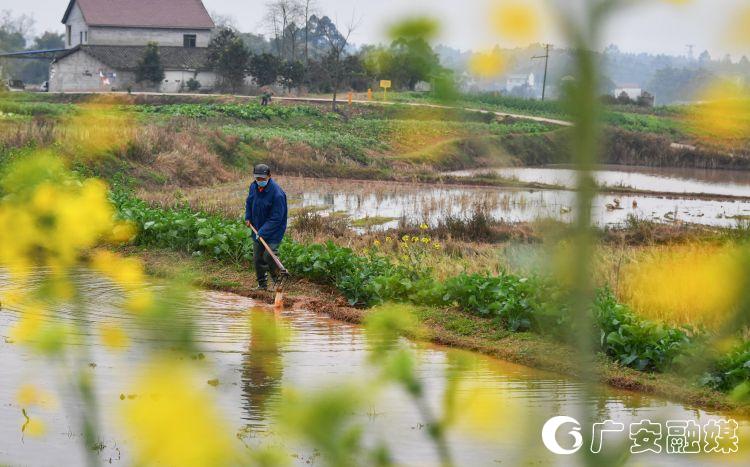 疫情防控不松懈春耕生产不松劲,疫情防控不松劲质量意识不松懈