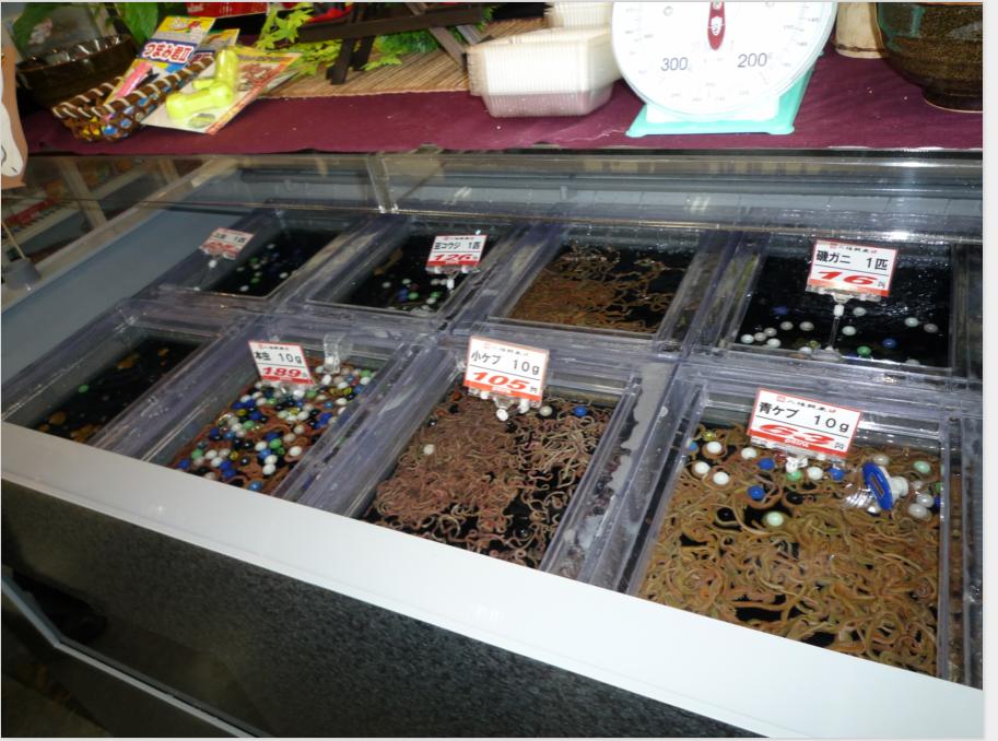 日本进口钓具专卖店直播,日本最便宜的钓具店