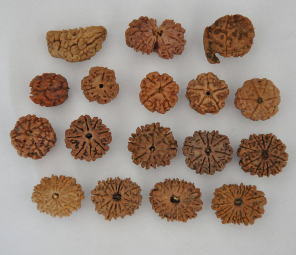 5瓣和6瓣金刚哪个值钱,金刚几瓣的最有价值