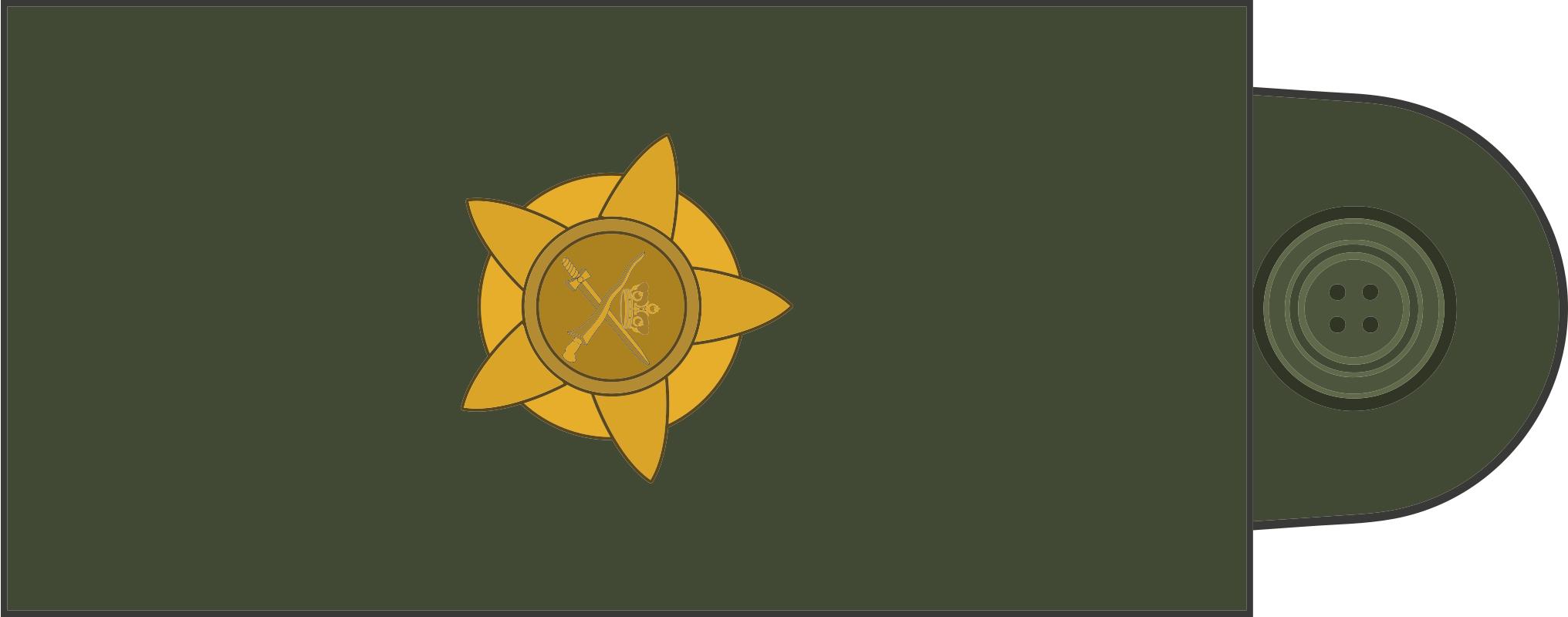 民国国军军装军衔标识,马来西亚军队军衔图集