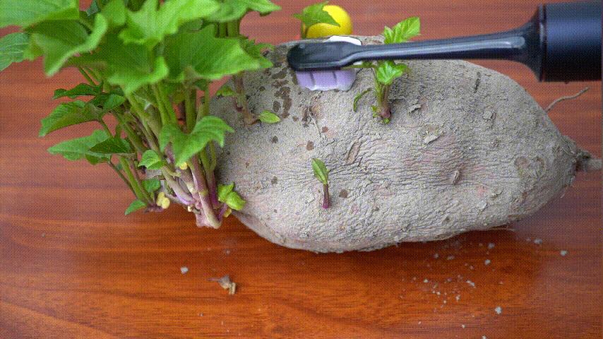 米家声波电动牙刷t700测评,米家电动牙刷t700测评