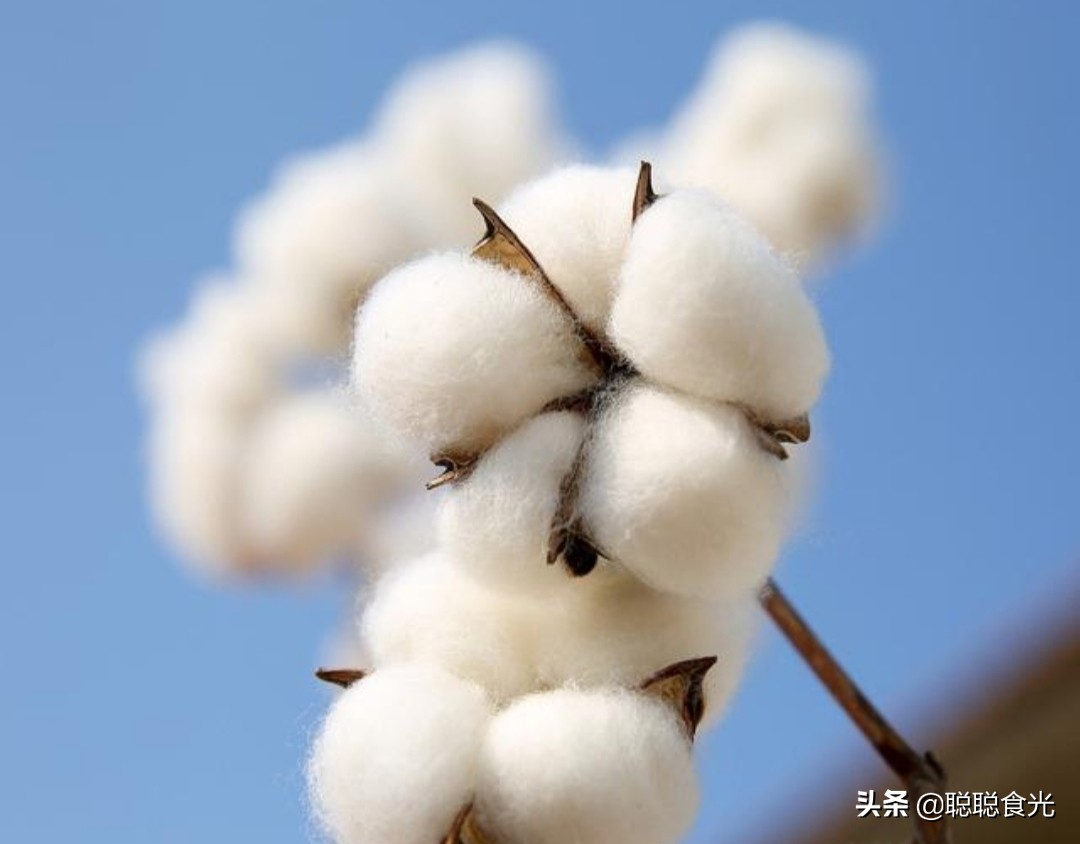 新疆真是个好地方风景如画,新疆真是个神秘又美丽的地方