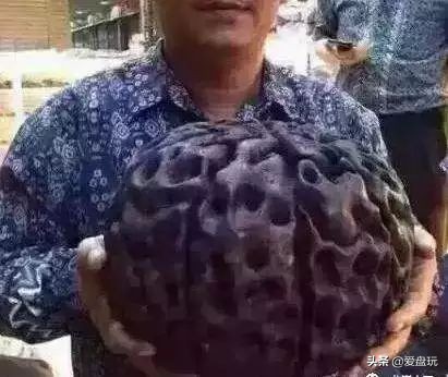 金刚最好的盘玩方法,金刚应该怎么盘