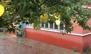 鞍山适合冬天聚餐的农家院,鞍山特色农家院推荐