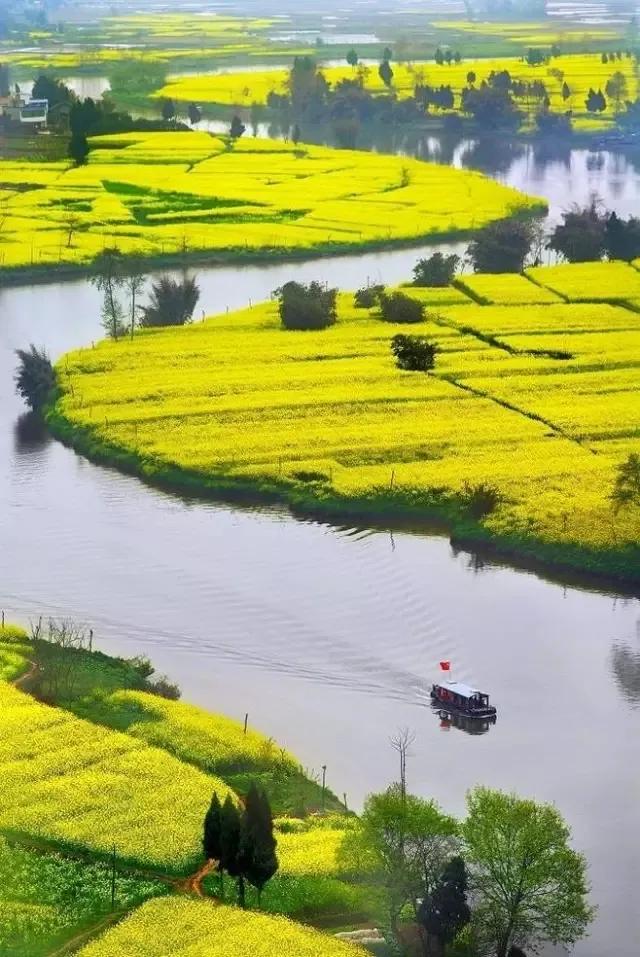 惊蛰适合喝什么茶,惊蛰季节多喝什么茶叶最好