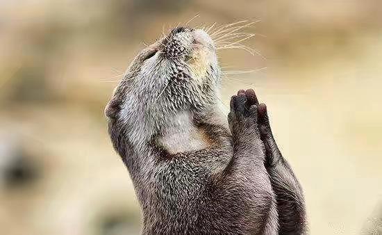 快速赚钱的兼职工作,如何赚钱靠谱的兼职