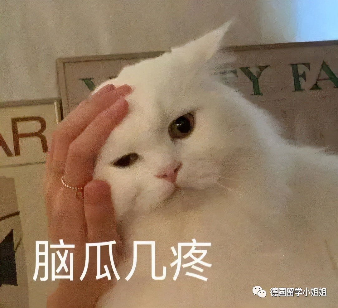 怎么申请去德国留学读研究生,高三学生如何申请德国留学