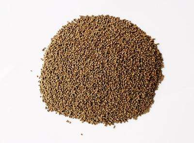 虾头是虾黄还是屎,虾头黄黄的到底是虾黄还是虾屎