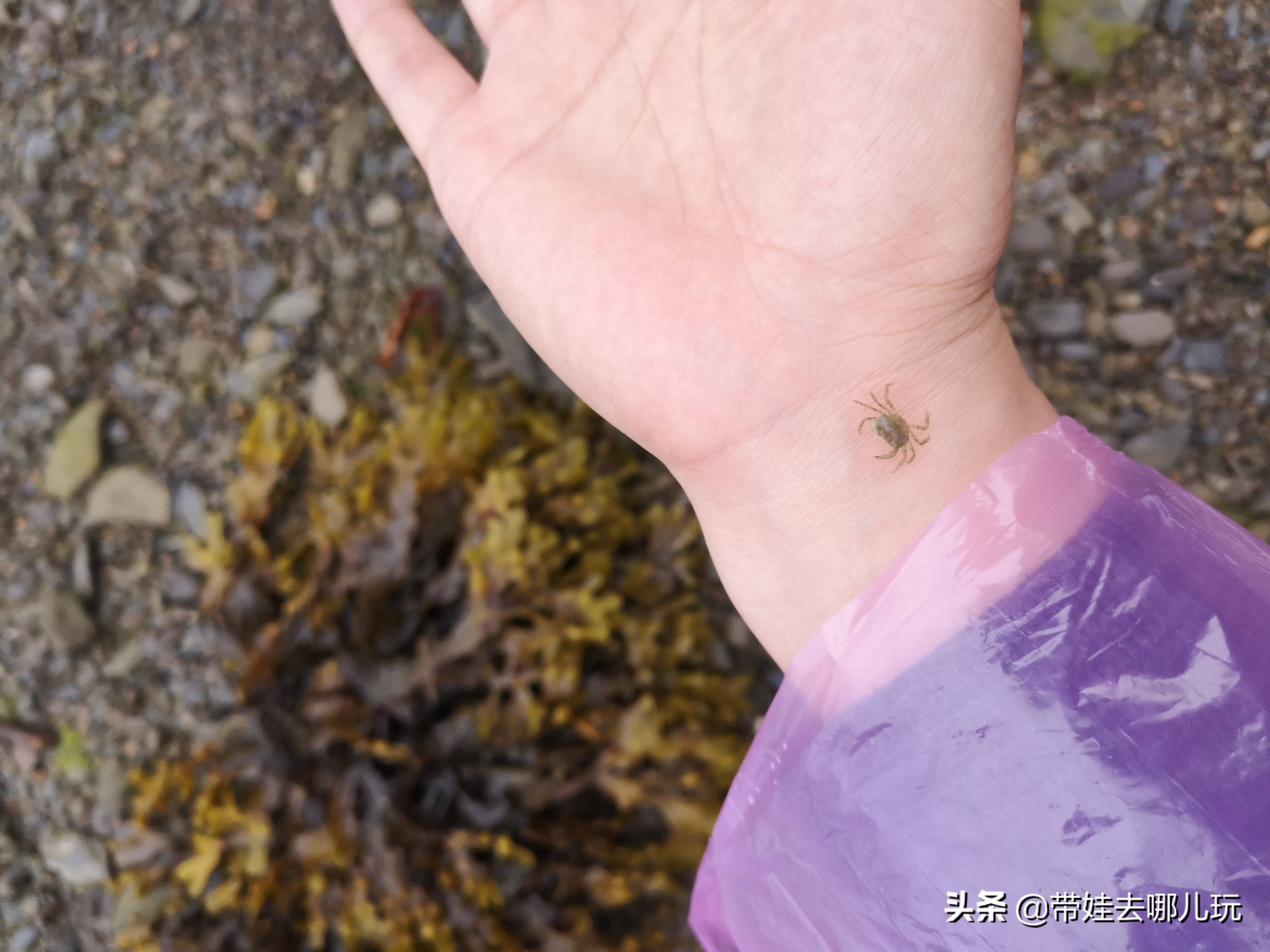 爱尔兰翡翠岛旅游景点,翡翠岛