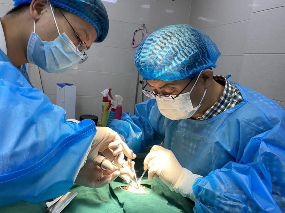 瑞派宠物医院告诉你最牛医院的正确打开方式