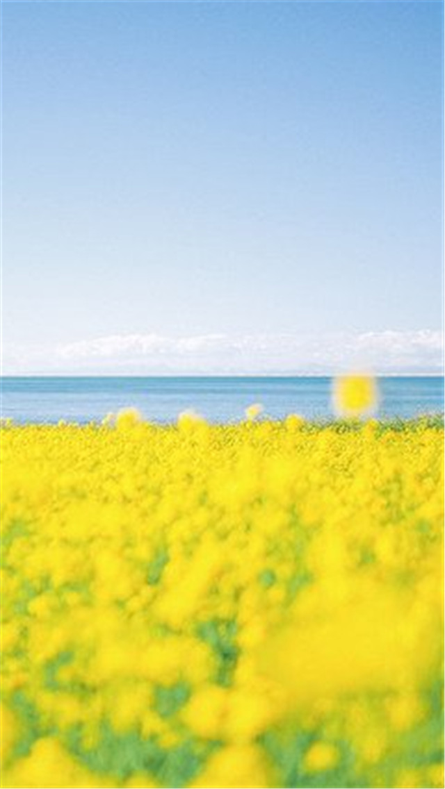 高清风景壁纸无水印全屏壁纸,风景壁纸手机壁纸