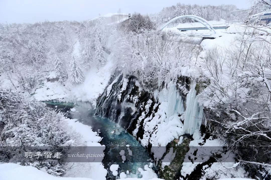日本10天自由行费用北海道,东京北海道5日自由行攻略
