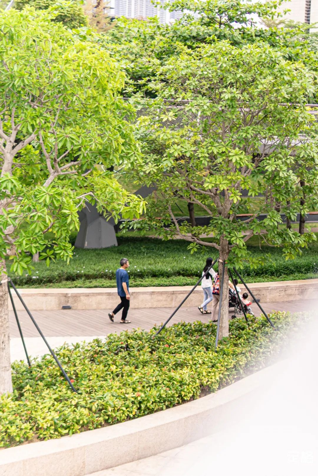 深圳人少的海滨公园,深圳滨海公园怎么样