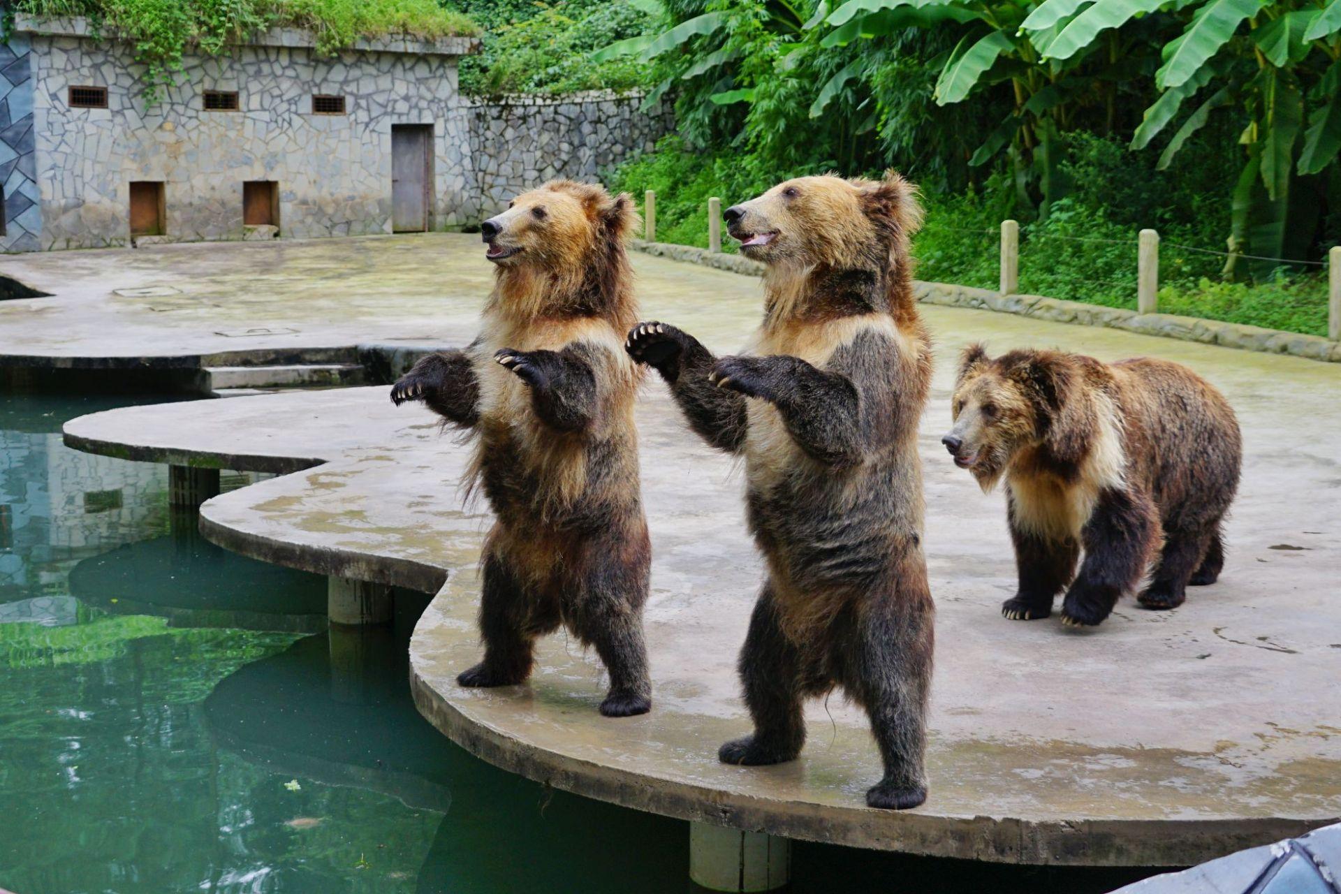 贵州A级旅游景区名录,贵阳市附近的旅游景区有哪些地方