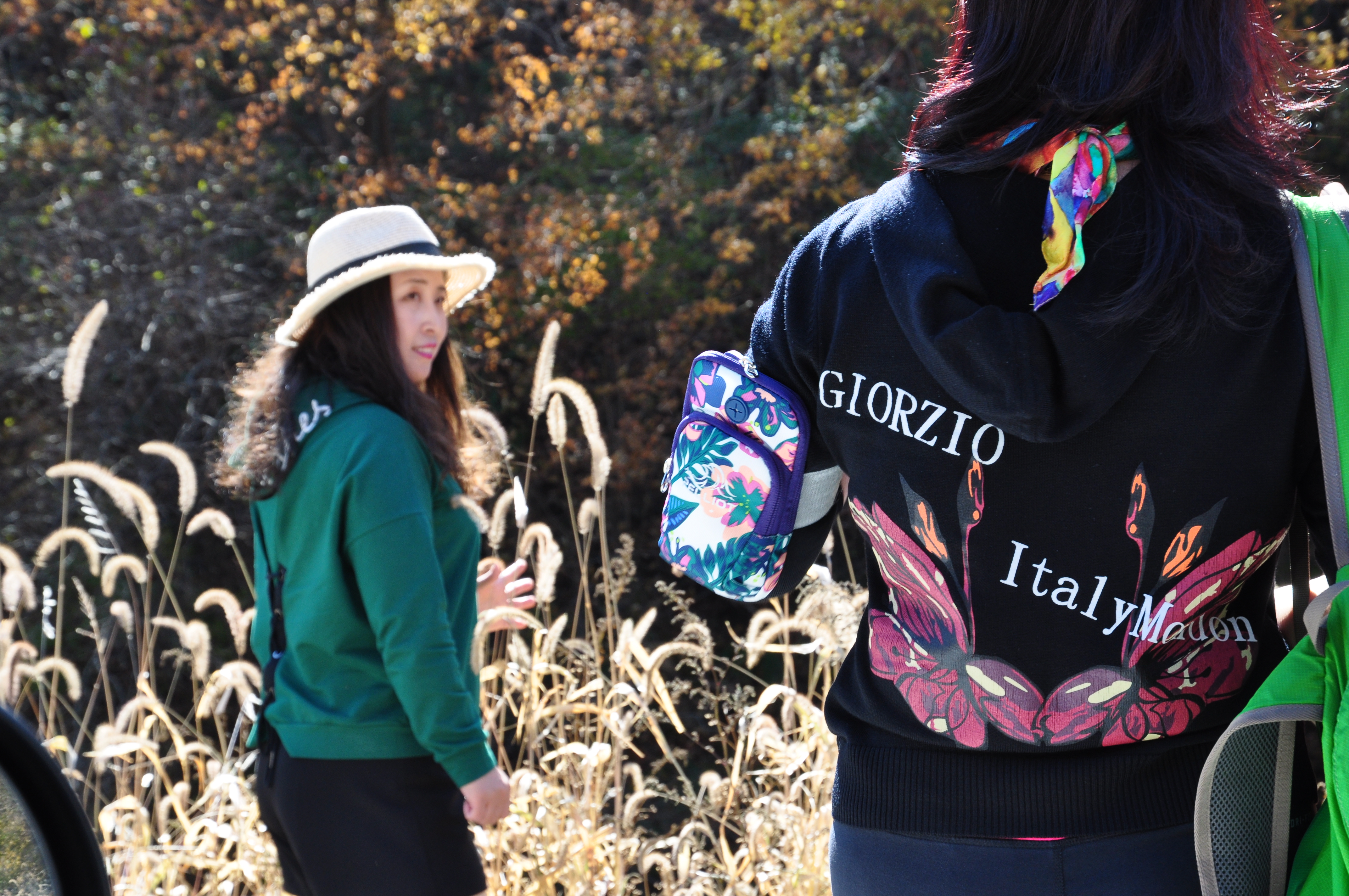 此时的辽宁不进景区照样处处风景，我带5位女同学野山里玩了一天