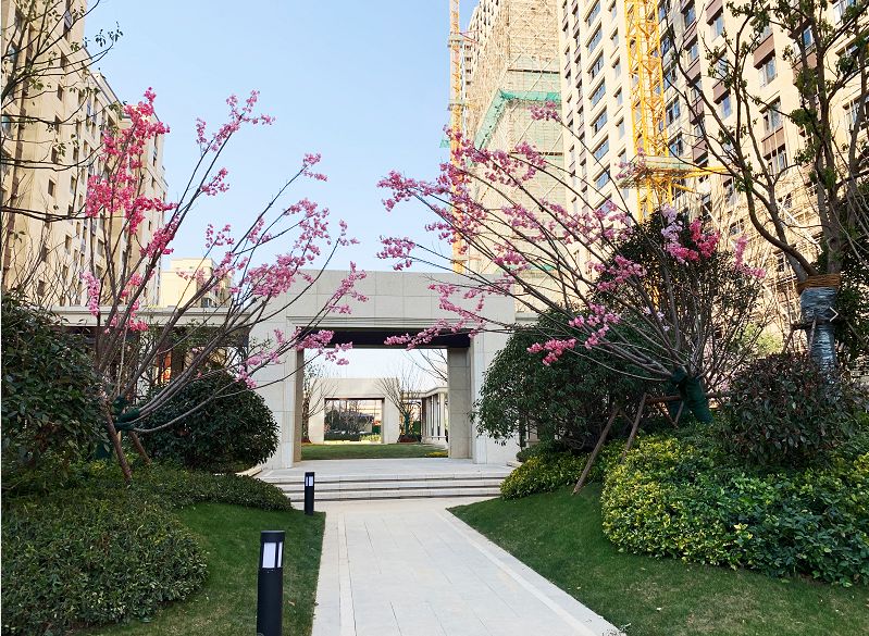 河西中房价历年走势,河西中次新豪宅